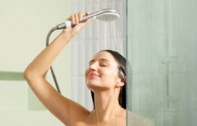 American Standard WizFlo Hand shower