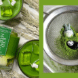 Green Edit: 15 Must-Have Picks for Every Type of Matcha Lover