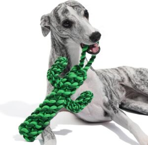 Trendy Tail: 13 Stylish Pet Essentials Every Pawrent Needs Right Now 
