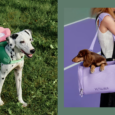 Trendy Tail: 13 Stylish Pet Essentials Every Pawrent Needs Right Now