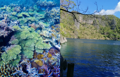7 Things to do in Coron, Palawan