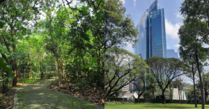 Free Parks to visit in Metro Manila