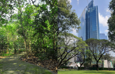 Free Parks to visit in Metro Manila