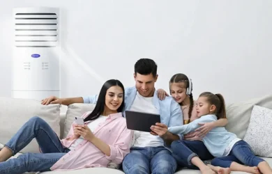 Carrier Big Saver Energy