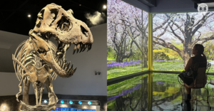 6 Easy Family Day Trips You Can Take Around Manila This Summer