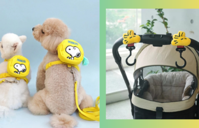 9 Snoopy-Approved Essentials to Shop If You (and Your Pet) Are Fans of Peanuts