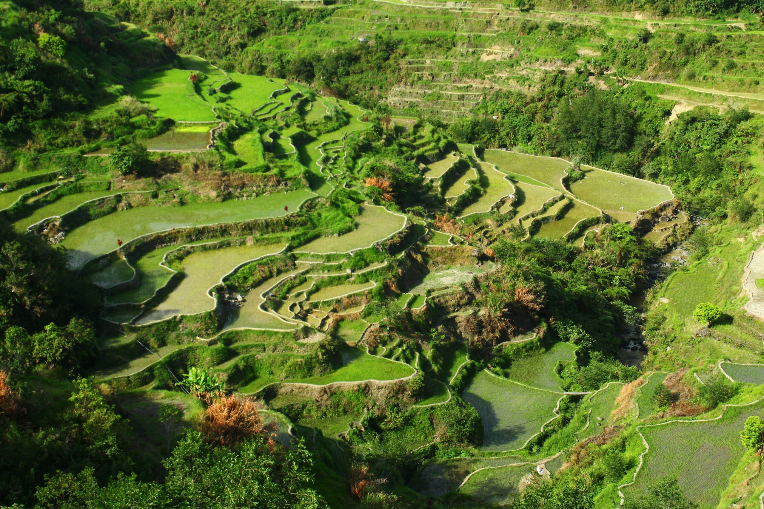 5 Scenic Philippine Destinations Worth Exploring—Whether You Want Beaches, Mountains, or Culture 2 Banaue