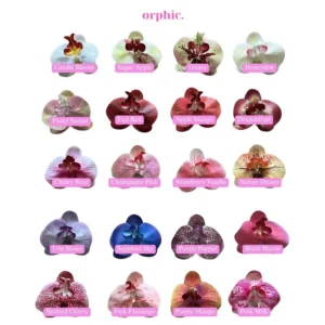 Fresh Picks: This Orchid Hair Clamp Belongs in Your Summer Rotation