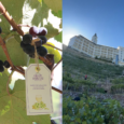 Twin Lakes Grape Harvest Festival