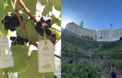 Twin Lakes Grape Harvest Festival
