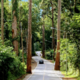 Chiang Dao