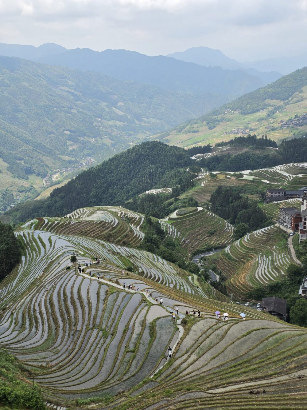 Top 7 Stunning Things to See in Guilin, China 4 Guilin China Longji Rice Terraces