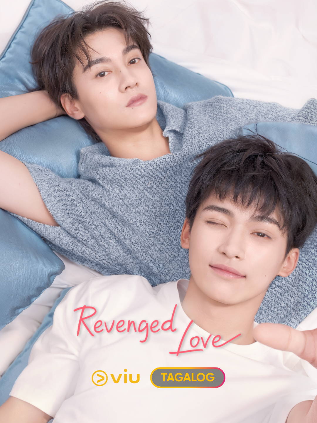 Add These Tagalog-Dubbed Series to Your Watch List This June 2026 2 Poster Revenged Love