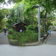 Where to Run in and Around Metro Manila