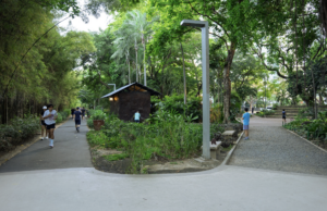 Home 30 Where to Run in and Around Metro Manila