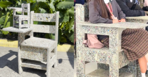 Home 6 The Plastic Flamingo School Chair Program
