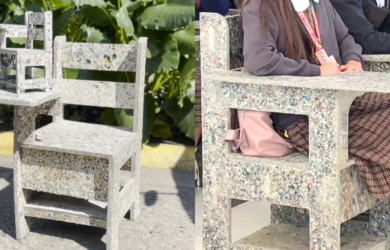 The Plastic Flamingo School Chair Program