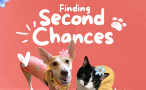 Home 47 Copy of Paws Up for Adoption 1 e1784730084274