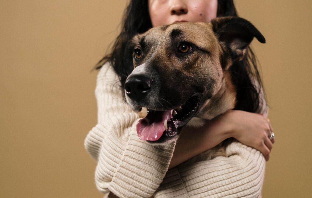 The Rise of Smart Nutrition: How Science-Backed Diets Are Transforming Local Pet Care 1 Bow & Wow
