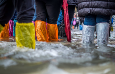 Flood