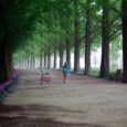 Sleep Tourism Damyang South Korea