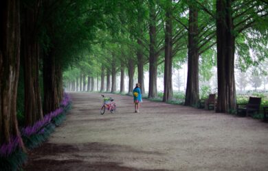 Sleep Tourism Damyang South Korea