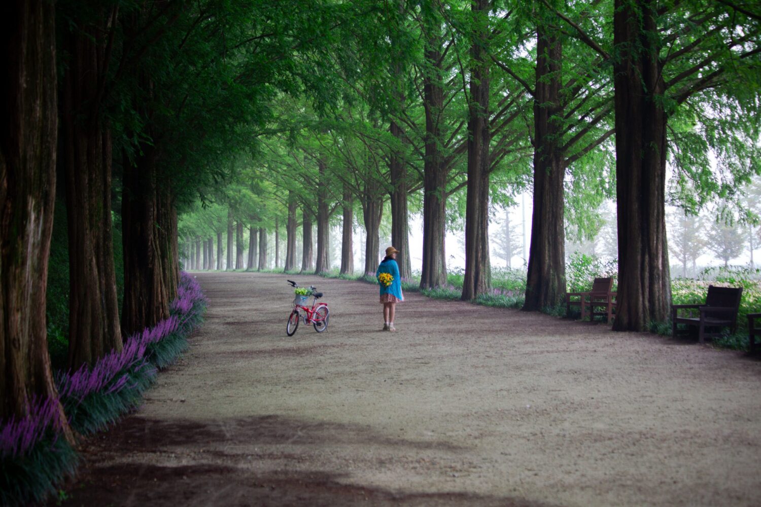 This is the Best Place in Korea for "Sleep Tourism" 1 Sleep Tourism Damyang South Korea
