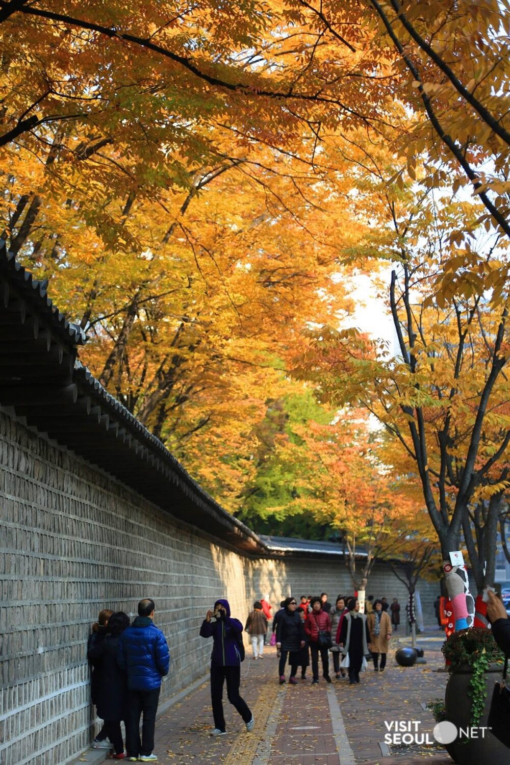 6 Walking Paths in Seoul to Enjoy Stunning Autumn Leaves 1 Deoksugung Stonewall Walkway Visit Seoul autumn leaves