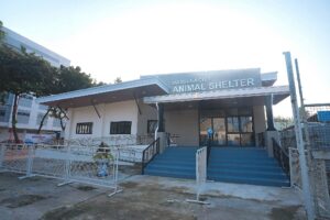Home 6 Marikina Animal Rescue and Shelter
